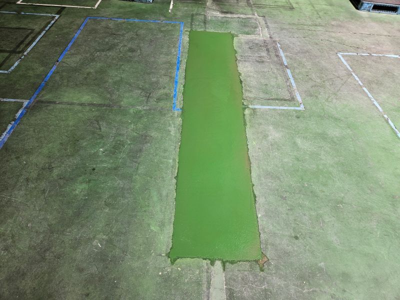 20250727_1115099 .jpg